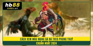 Cách Xem Màu Mạng Gà Đá Theo Phong Thuỷ Chuẩn Nhất 2024