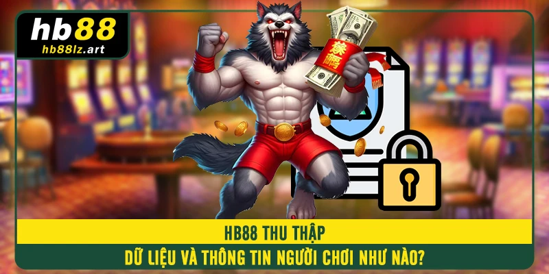 HB88 thu thập dữ liệu và thông tin người chơi như nào?