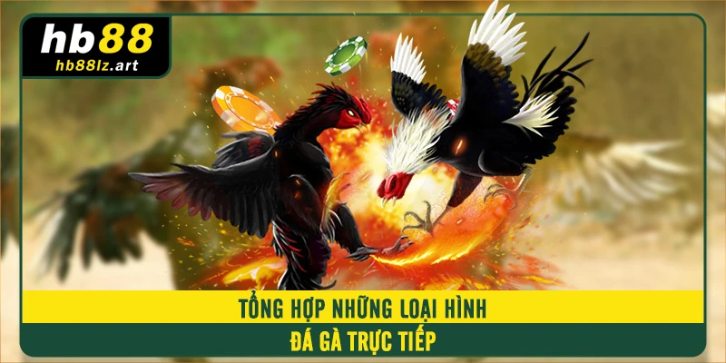 Tổng hợp những loại hình đá gà trực tiếp 