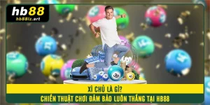 Xì Chủ Là Gì? Chiến Thuật Chơi Đảm Bảo Luôn Thắng Tại HB88